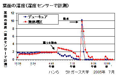 デューキュア散布1日後