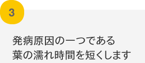 発病原因の一つである葉の濡れ時間を短くします