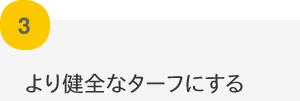 より健全なターフにする